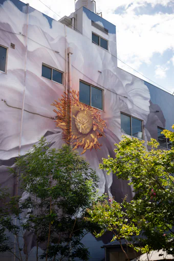 Mural artwork